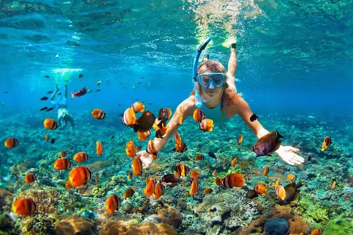 Gili Islands Snorkelling