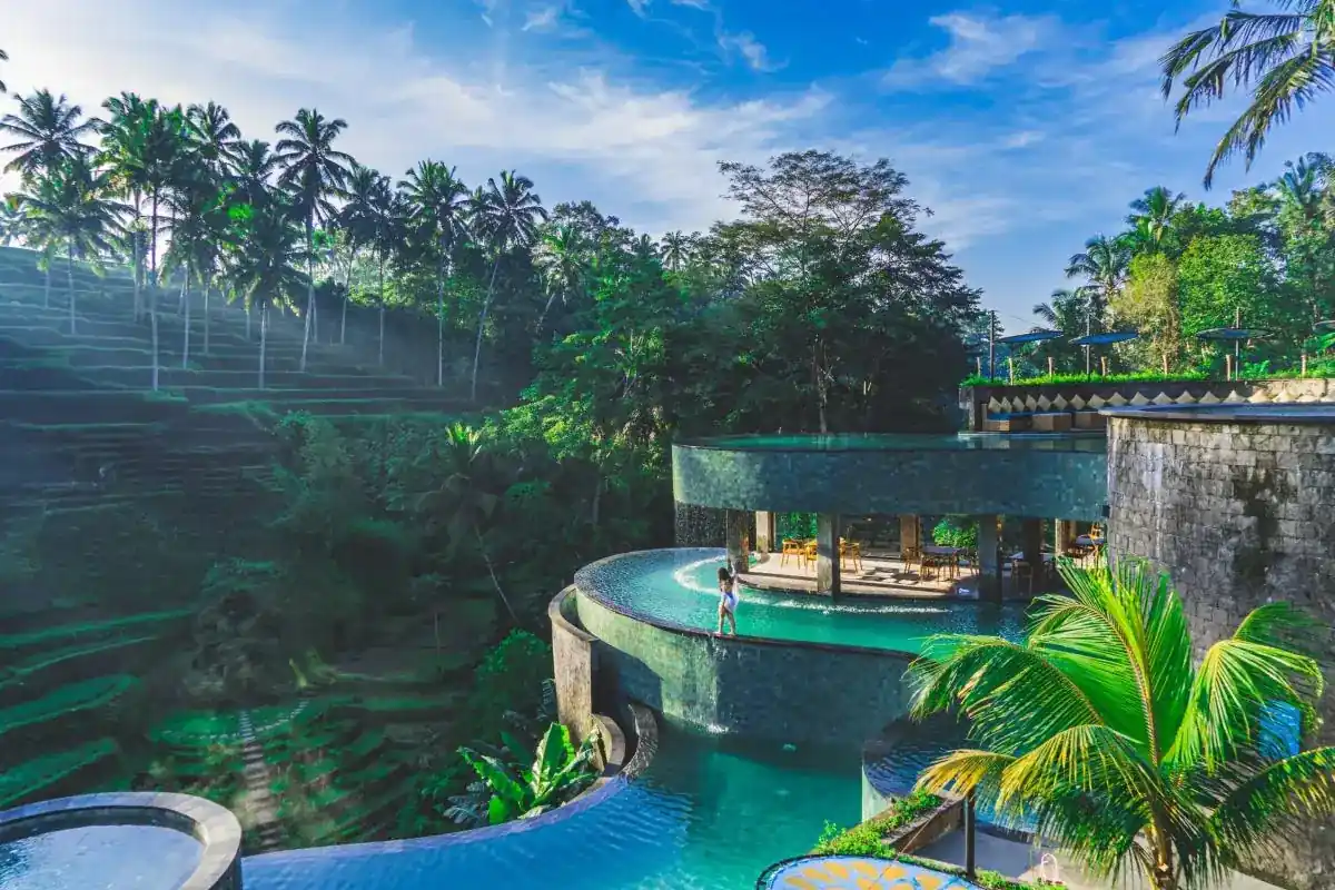 Bali Rice Terrace Views - Image 1