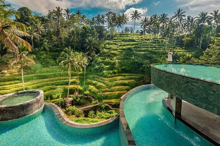 Bali Rice Terrace Views - Image 2