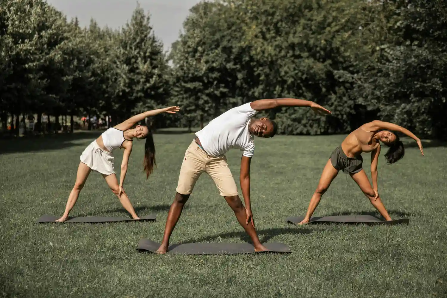Evening Activities - Image 1