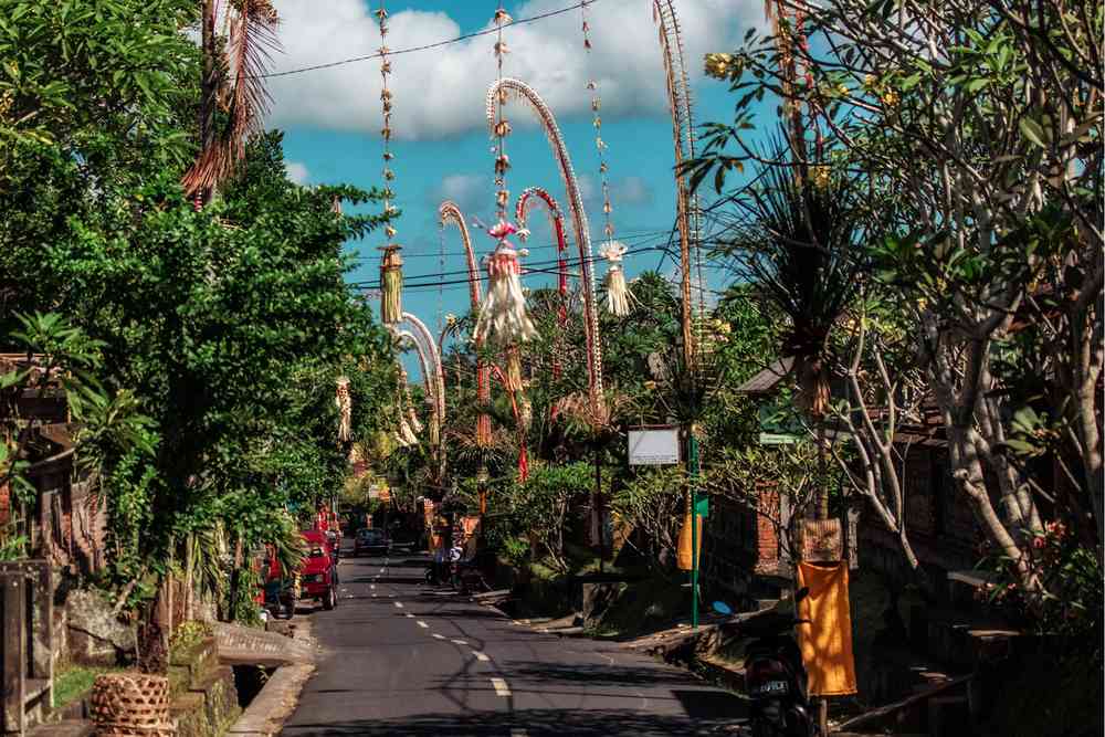 Bali Walking Tour  - Image 1