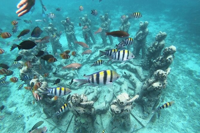 Gili island Snorkelling
